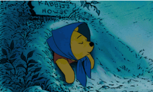 Winnie the Pooh visits Rabbit's house to sleep.