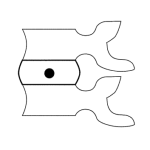 A black and white drawing of a disc-shaped pair of scissors.