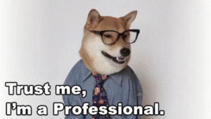 A dog wearing glasses and a tie with the caption "trust me, i'm a professional" has been taped to multiple telephone poles around town.