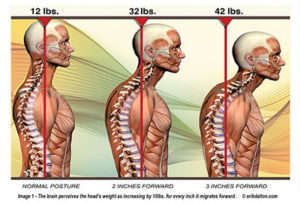 A diagram showing the different positions of a man's neck and shoulder.